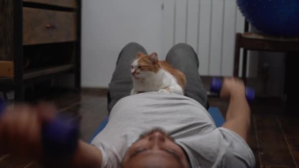 Kat liggend op de mans buik terwijl hij doet oefening met halters — Stockvideo