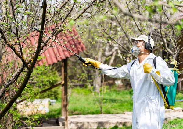 Человек в саду с рюкзаком распылителя под давлением защищает деревья от вредителей и грибковых заболеваний — стоковое фото