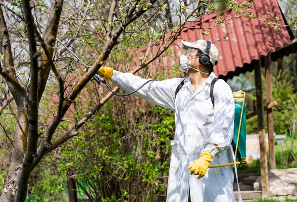 Hombre en un jardín con mochila pulverizadora a presión protegiendo árboles contra plagas y enfermedades fúngicas — Foto de Stock