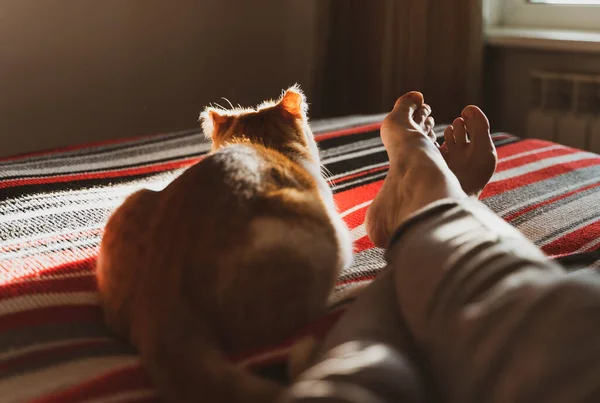 Lying and relaxing in bed with cat. — Stock Photo, Image