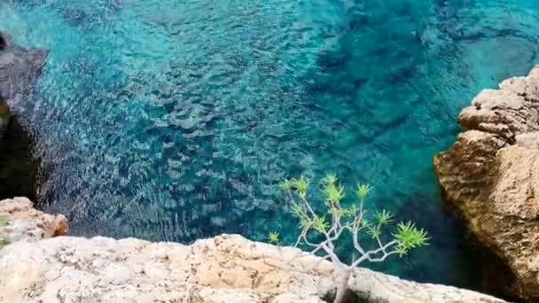 Água Azul Turquesa Transparente Mar Verão Vista Superior — Vídeo de Stock