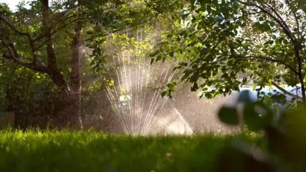 De tuin besproeien. Vers groen gras en water druppels sprankelend in zonlicht. — Stockvideo