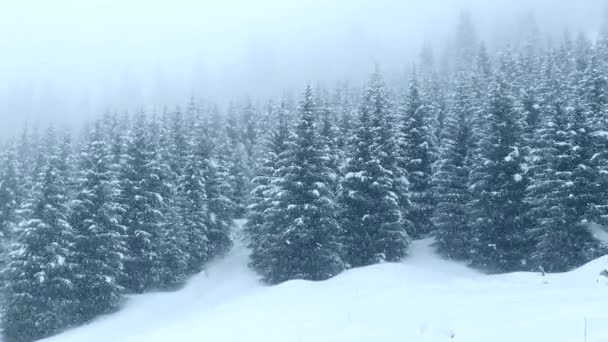 A neve cai nas montanhas cobertas de floresta. Linda paisagem de inverno. — Vídeo de Stock