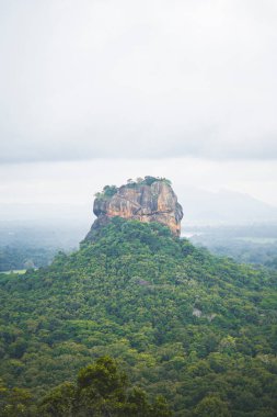 Sri Lanka 'nın tropikal ormanlarındaki Sigirya kayalarının manzarası.