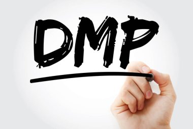 DMP - Borç Yönetimi Kısaltma Planı, iş konsepti geçmişi