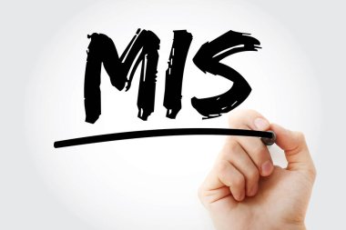 MIS - İşaretleyicili Yönetim Bilgi Sistemi kısaltması, iş konsepti geçmişi