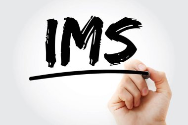 IMS - İşaretleyicili Entegre Yönetim Sistemi kısaltması, iş konsepti geçmişi