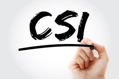 CSI - İşaretleyici ve iş konsepti geçmişi ile sürekli hizmet geliştirme kısaltması
