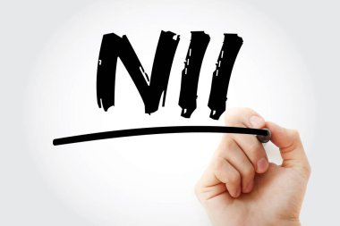 NII - İşaret, iş konsepti geçmişi ile net gelir kısaltması