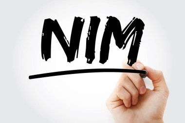 NIM - İşaretleyici, iş konsepti geçmişi ile ağ faiz marjı kısaltması