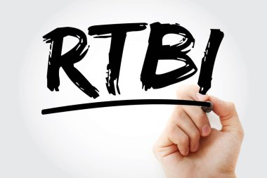 RTBI - İşaretli Gerçek Zamanlı İş Zekası kısaltması, kavram geçmişi