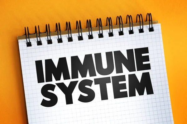 Not defteri üzerindeki bağışıklık sistemi metni, sağlık kavramı geçmişi