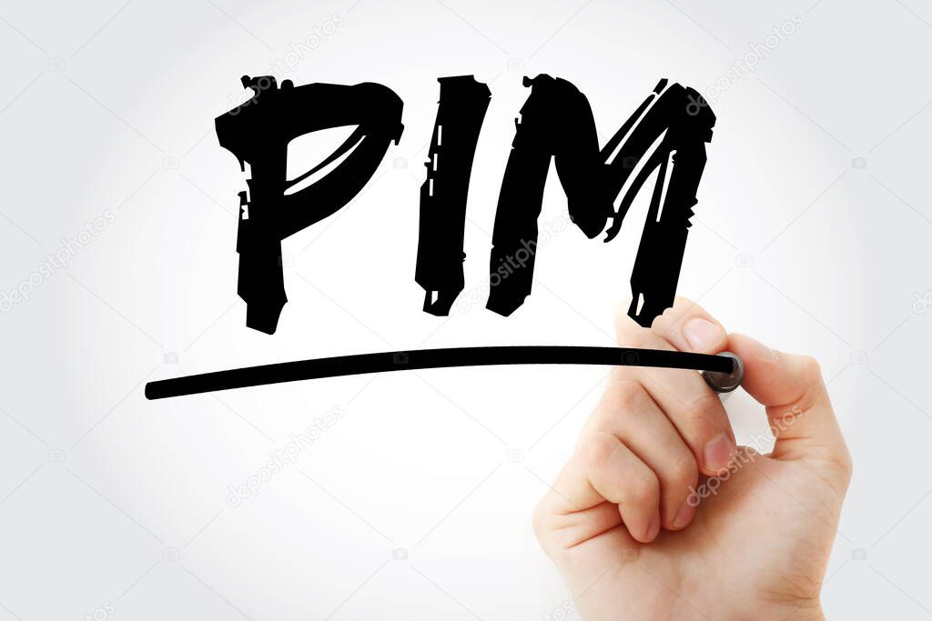 PIM - Personal Information Manager acronym with marker, concept background