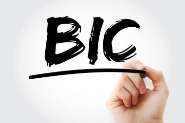 BIC - İşaretli Banka Tanımlayıcı Kodu kısaltması, iş konsepti geçmişi