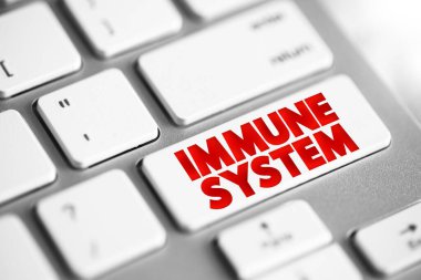 Klavyedeki bağışıklık sistemi metin düğmesi, sağlık konsepti arka grup