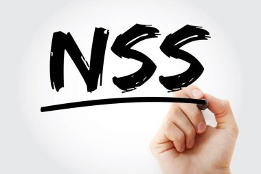 NSS - İşaretli Ağ Güvenlik Servisi kısaltması, teknoloji konsepti geçmişi