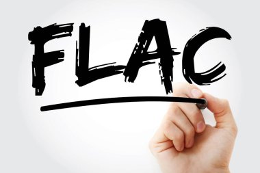 FLAC - İşaretleyicili Serbest Kayıpsız Ses Kodlama kısaltması, teknoloji kavramı arka planı