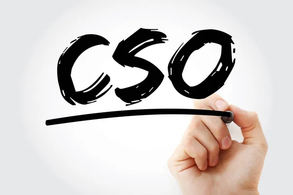 Cso Chief Strategy Officer Acronym Marker — стокове фото
