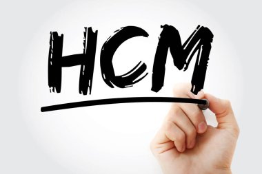 HCM - İşaretleyicili İnsan Sermaye Yönetimi kısaltması, iş konsepti geçmişi