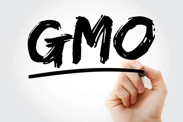 Gmo Genetiskt Modifierad Organismförkortning Med Markör Begreppsbakgrund — Stockfoto