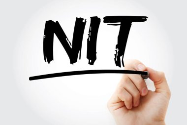 NIT - İşaretleyici ve iş konsepti geçmişi olan negatif Gelir Vergisi kısaltması