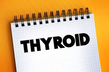 Not defterindeki tiroit metni, kavram arkaplanı