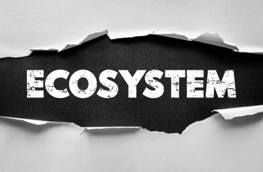 Yırtık kağıt altındaki ECOSYSTEM metni, doğa kavramı, biyolojik çeşitlilik ve dengeli doğal sistemler içindeki organizmalar, bitkiler ve çevre arasındaki sürdürülebilir etkileşim