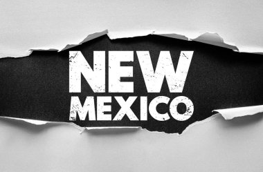 New Mexico 'da arkaplanda yırtık kağıt var. Yırtık kenarlı Grunge tipografisi cesur devlet adını ortaya çıkarıyor, seyahat, tasarım veya eğitici yaratıcı temalar için mükemmel.