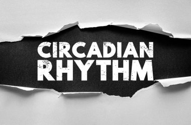 CIRCADIAN RHYTHM konsept metni yırtık kağıt arkasında kaba stencil yazı tipi. Biyolojik döngülerin, uyku düzenlerinin ve bilim veya sağlık temalarının günlük vücut fonksiyonu konseptinin sembolü