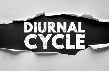 Yırtık kağıt arkaplanda gösterilen grunge kalın yazı tipi ile diURNAL döngüsü kelimesi. Gündüz ve gece kalıpları, ışığa maruz kalma ve yaşam bilimindeki doğal biyolojik süreçler kavramı