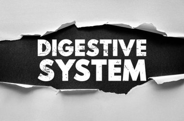 Yırtık kağıt arkaplan üzerine DiGESTIVE SİSTEM metin. İnsan anatomisi, sağlık, beslenme ve biyolojik süreçler hakkında eğitici ve tıbbi tema. Kalın grunge tipografi biçimi