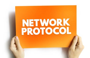 NETWorK PROTOCOL metni ellerinde. Dijital veri transferi, bağlantı standartları ve sistem entegrasyonu için teknoloji ve iletişim kavramı