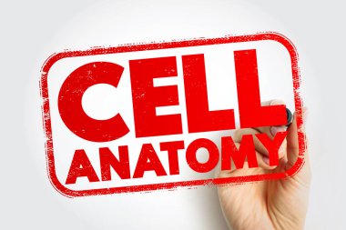 Hücre anatomisi damgası elle yazılıyor, hücre yapısı, biyoloji temelleri, bilimsel illüstrasyon ve sınıf öğrenme materyalleri hakkında eğitici içerikler için uygun