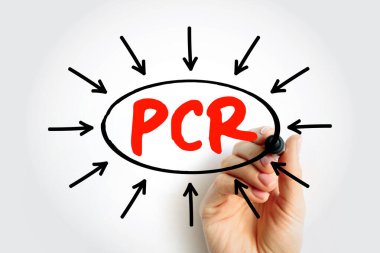 Moleküler biyoloji laboratuvarı test metni için PCR Polimeraz Zincir Tepkimesi kısaltması. Genetik tanılama ve bilim konsepti için oklarla işaretli el işaretleyicisi ile daire içine alınmış.