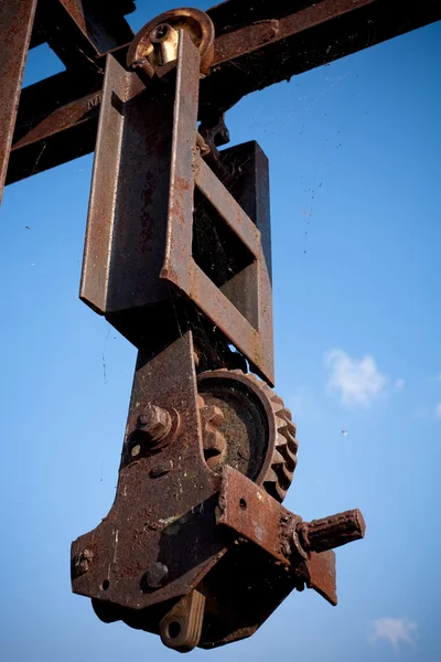 Roestige Lier — Stockfoto