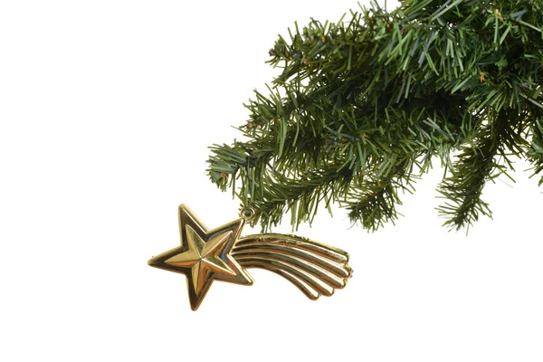 Antique star christmas ornament on branch — Stock Photo, Image