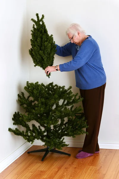 Seniorin stellt Weihnachtsbaum auf — Stockfoto