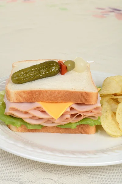 Closeup sanduíche de frango e queijo — Fotografia de Stock