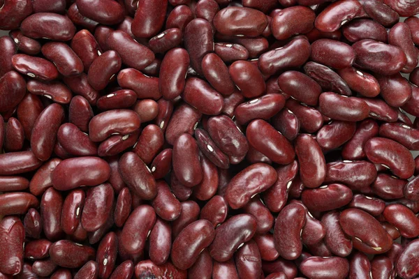 Red kidney bean background — Stock Photo, Image