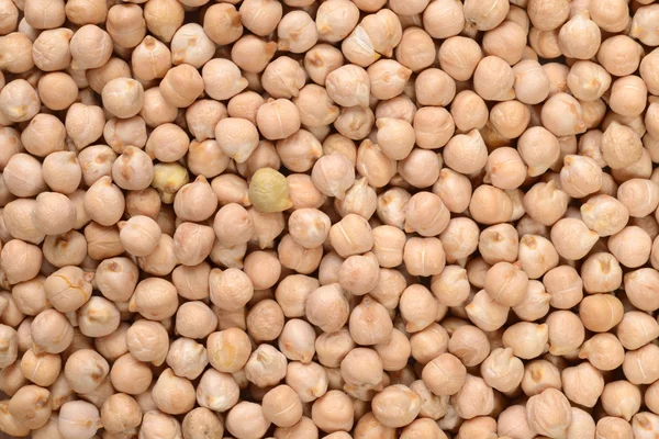 Chick pea background — Stock Photo, Image