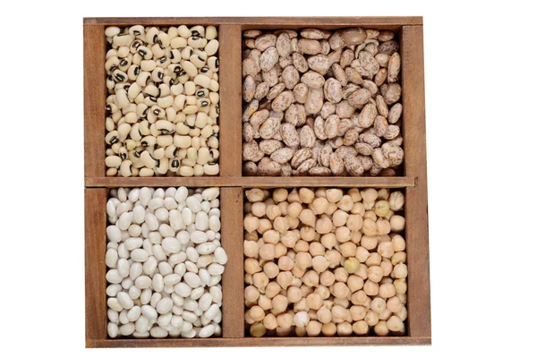 Sušené fazole v dřevěné krabici — Stock fotografie