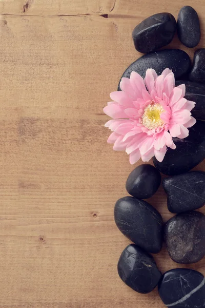 Fiore rosa con pietre — Foto Stock