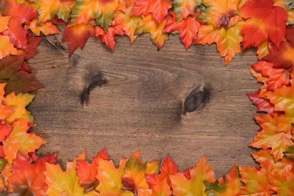 Renkli akçaağaç yaprakları çerçeve — Stok fotoğraf