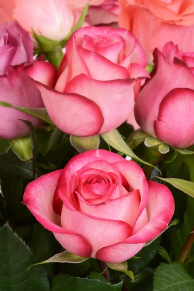 Macro pink rose in bouquet — Stock Photo, Image