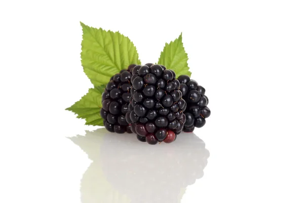 Three blackberries with leaves — Stock Photo, Image