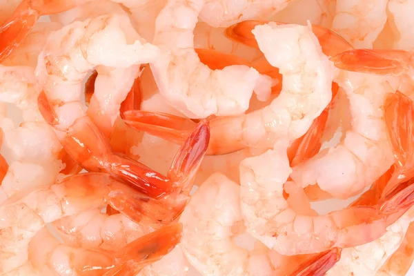 Closeup shrimp background — Stock Photo, Image