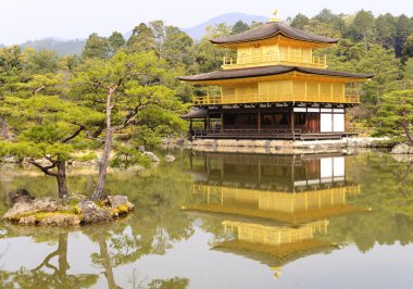 kinkaku-ji Tapınağı
