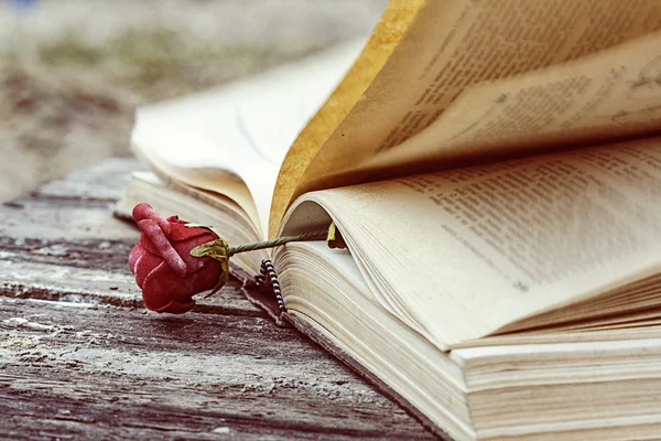 Vintage book and rose — Stock Photo, Image