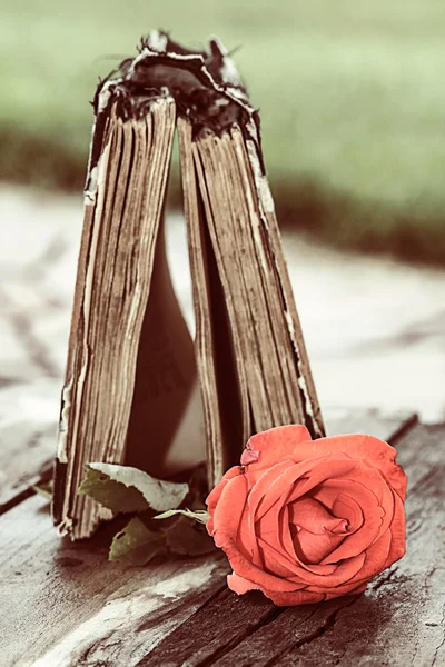 Book and rose — Stock Photo, Image