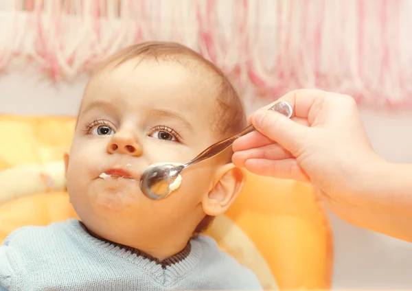 Portrait of little boy — Stock Photo, Image